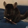 Милим