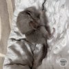 Мэнни