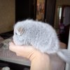 1 мес и 1 нед 