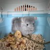 1 мес и 1 нед