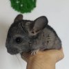 Нана