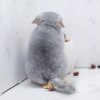 1 мес и 3 нед