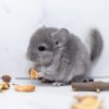 1 мес