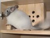 4,5 месяцев