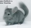 3 мес