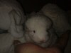 1 неделя