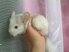 2 месяца