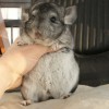 Каспер