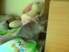 темнеем