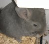 3 мес 3 дня