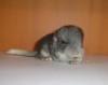 2 дня