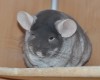 2 года 6 мес