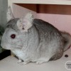 Зара