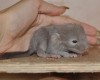 1 день