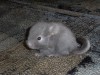 Цветем пока не сильно