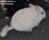 3м