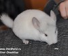 3м
