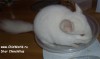 4 мес