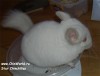 4 мес
