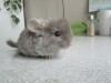 Нашей малышке - один месяц