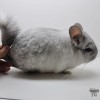 Амедик