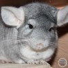 Серафима