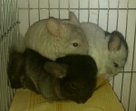 Юльчик ♥♥♥♥♥♥♥