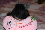 Анжелика72