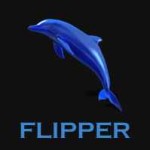 flipper