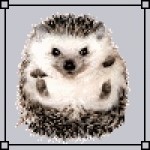 dsb