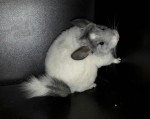 Юлия Фотеева