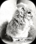 Ирина Бугаева