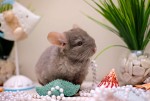 Екатерина Маслова