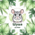 lilu5450