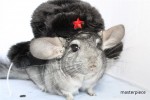 Наталья Сергеева