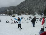 zolotko-sochi