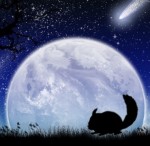 Club moonlight