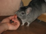 Helenko