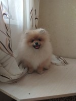 Ксения13