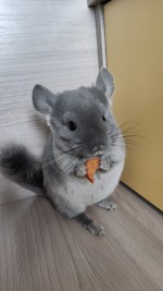 Букетик