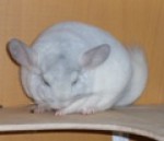 Ланка