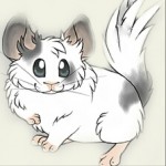 Nikoll