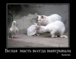 М.Евгений