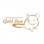GoldChinchilla