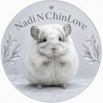 NadiN1