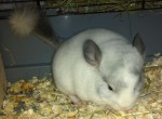 Evgenia123